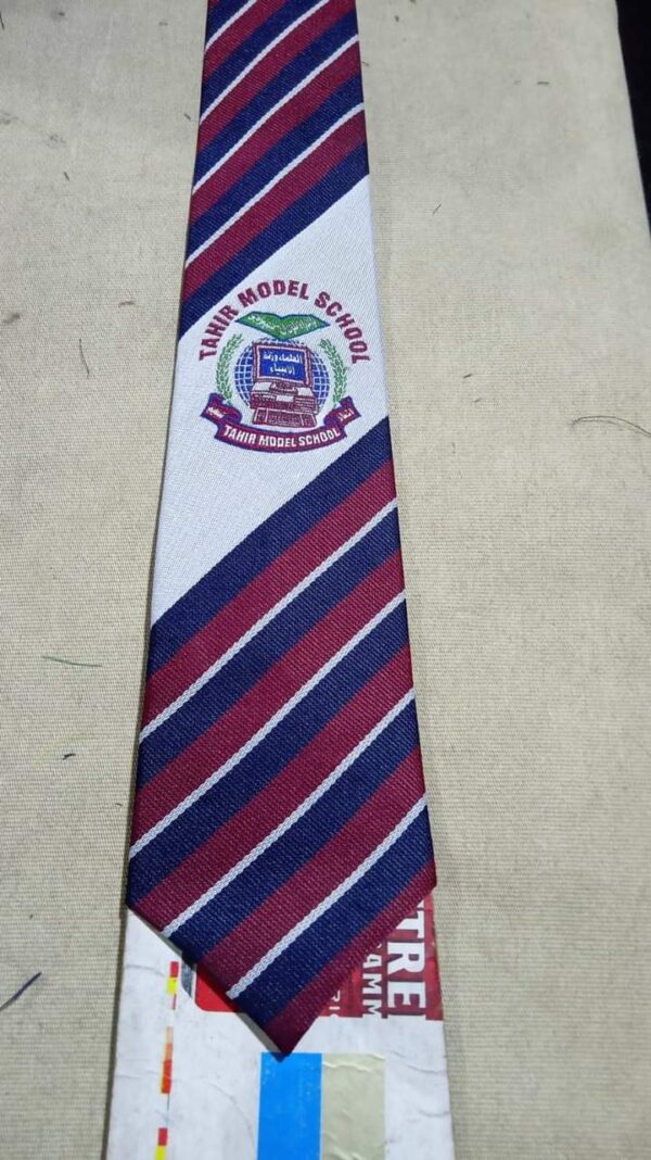 School students Tie with school logo (100 Pcs) - Image 2