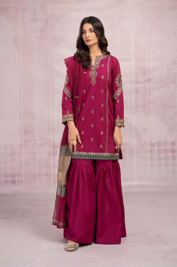 Dahnk Brand Mariab (3PCs Suit) - Image 4