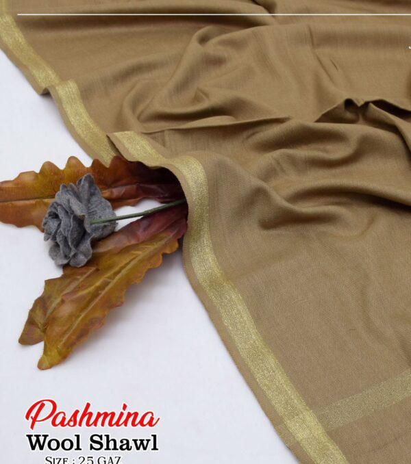 Lightweight Pashmina Wool Shawl with 4-Side Border