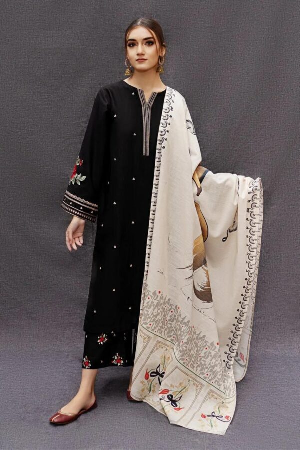 Embroidery Airjet Dhanak  By AISLING Winter Collection