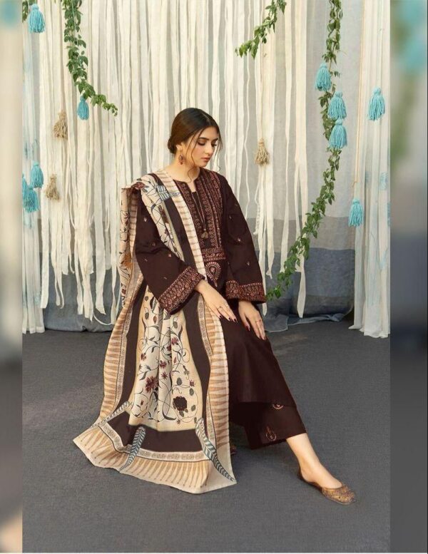 Embroidery Airjet Dhanak  By AISLING Winter Collection