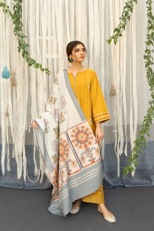 Embroidery Airjet Dhanak  By AISLING Winter Collection